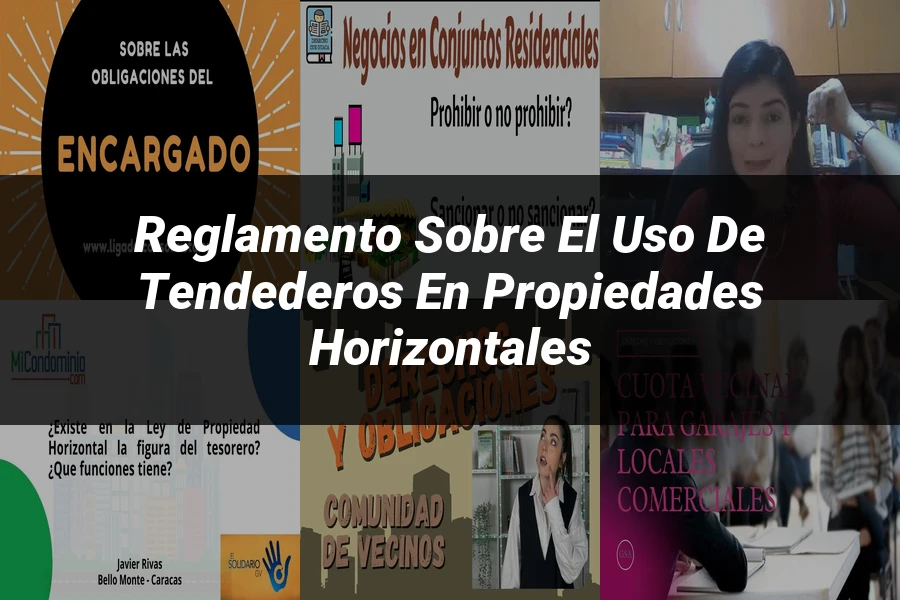 "Reglamento sobre el uso de tendederos en propiedades horizontales"