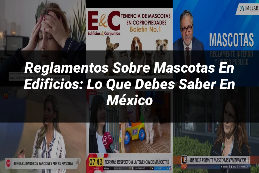 "Reglamentos sobre mascotas en edificios: lo que debes saber en México"