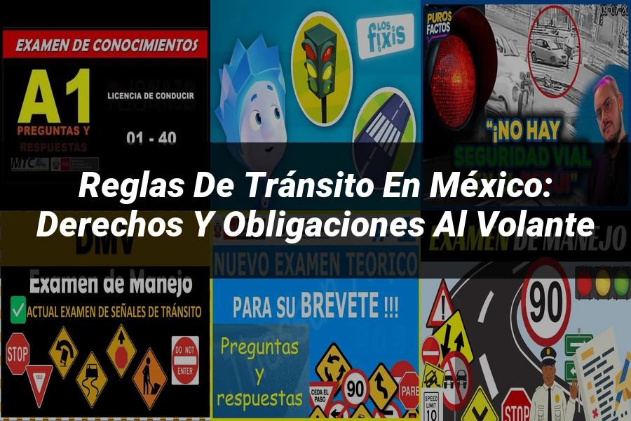 "Reglas de tránsito en México: Derechos y obligaciones al volante"