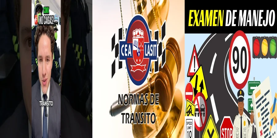 "Reglas de tránsito en México: Derechos y obligaciones al volante"