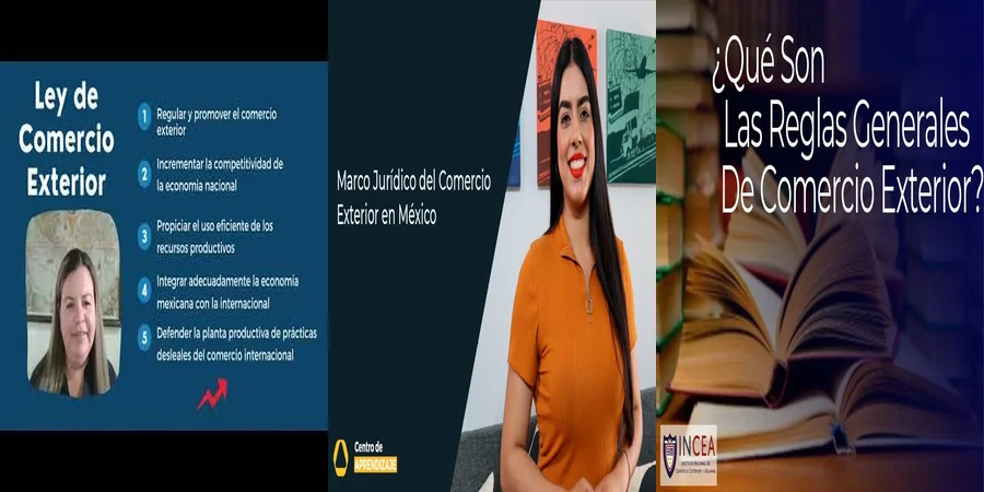 "Regulaciones del Comercio Exterior en México: Lo Que Debes Saber"