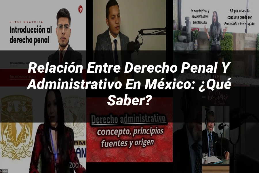 "Relación entre Derecho Penal y Administrativo en México: ¿Qué Saber?"