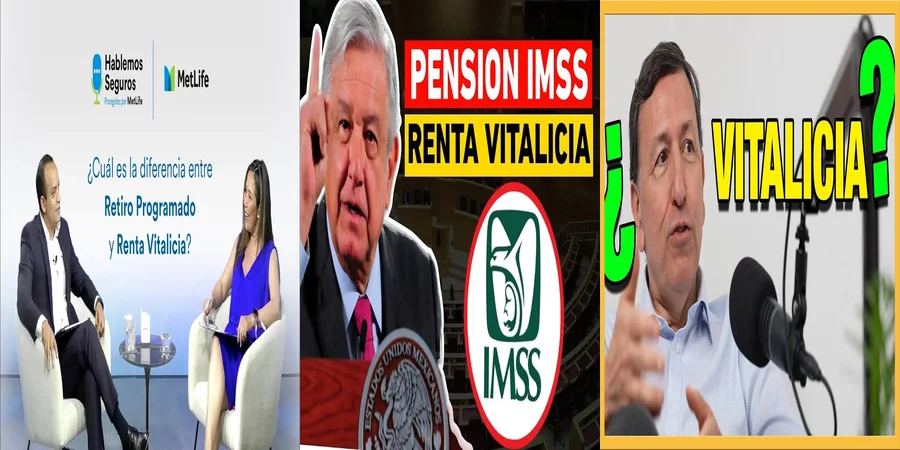 "Rentas Vitalicias en México: ¿Qué Debes Saber Legalmente?"