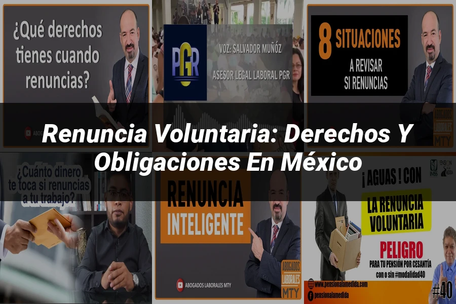 "Renuncia voluntaria: derechos y obligaciones en México"