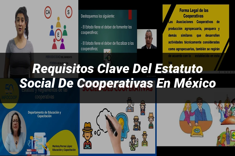"Requisitos Clave del Estatuto Social de Cooperativas en México"