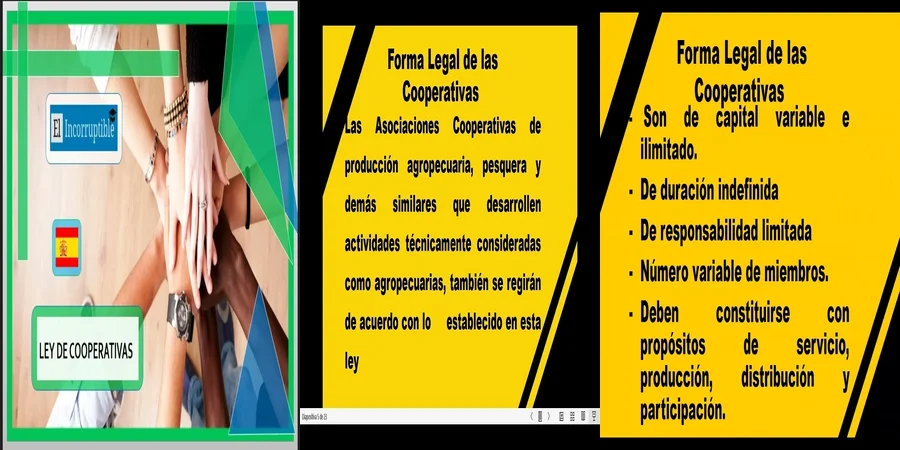 "Requisitos Clave del Estatuto Social de Cooperativas en México"