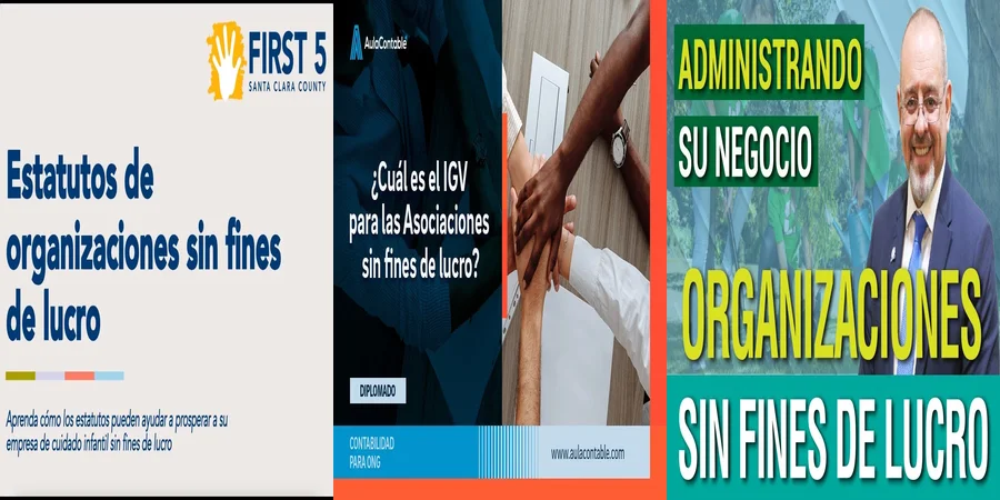 "Requisitos Legales para Asociaciones Sin Fines de Lucro en México"