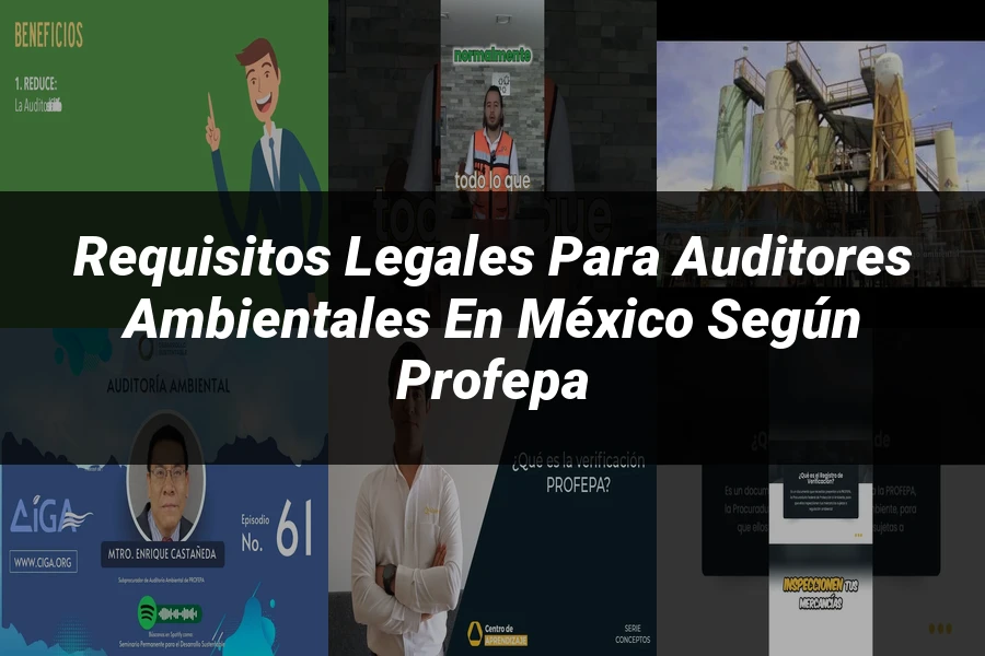 "Requisitos Legales para Auditores Ambientales en México según Profepa"