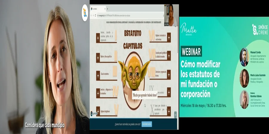 "Requisitos Legales para Fundaciones Protectoras de Animales en México"