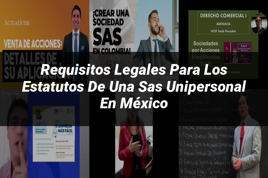 "Requisitos Legales para los Estatutos de una SAS Unipersonal en México"
