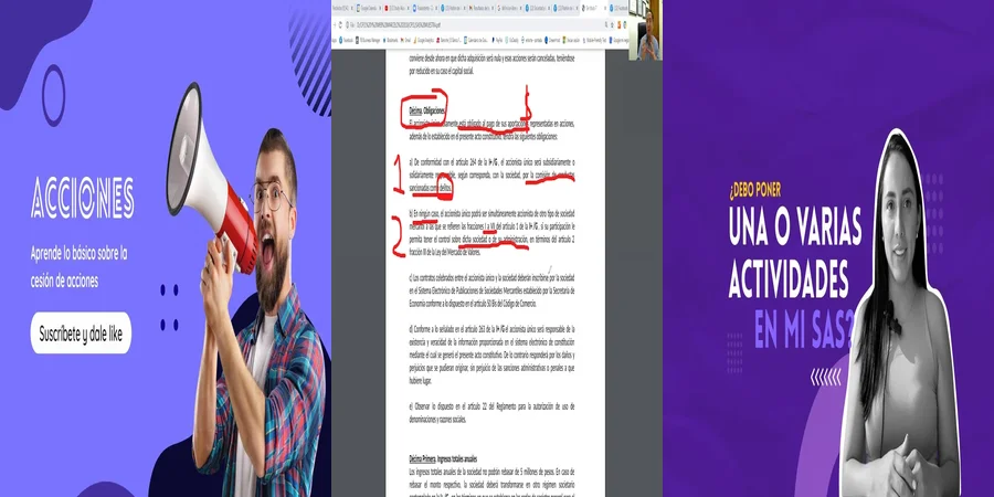 "Requisitos Legales para los Estatutos de una SAS Unipersonal en México"