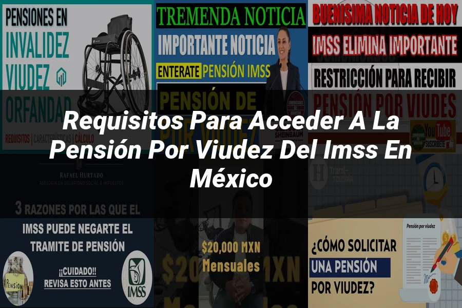 "Requisitos para acceder a la pensión por viudez del IMSS en México"
