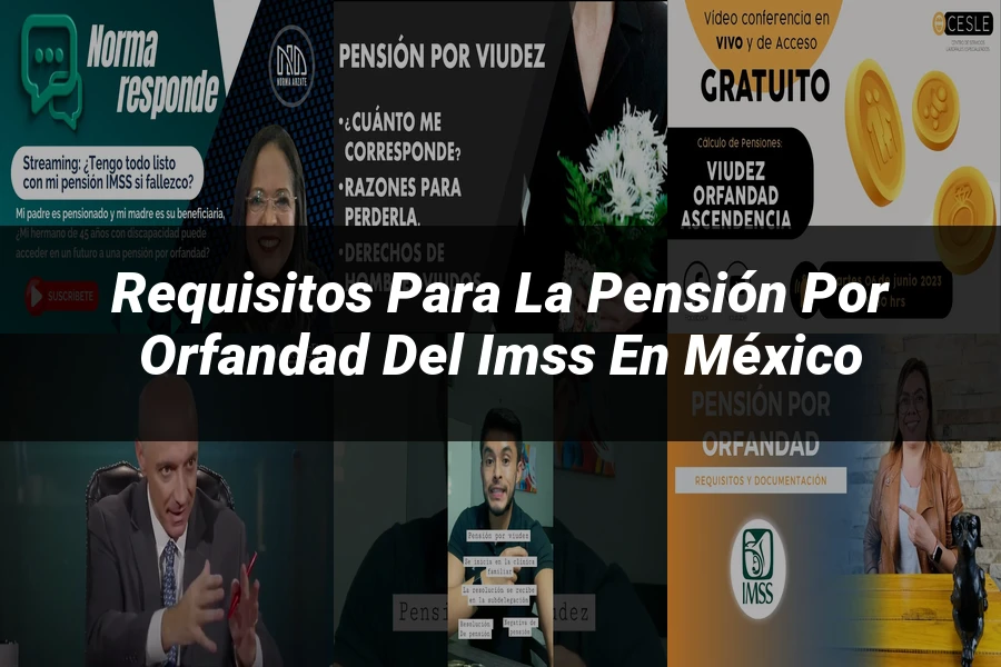 "Requisitos para la pensión por orfandad del IMSS en México"