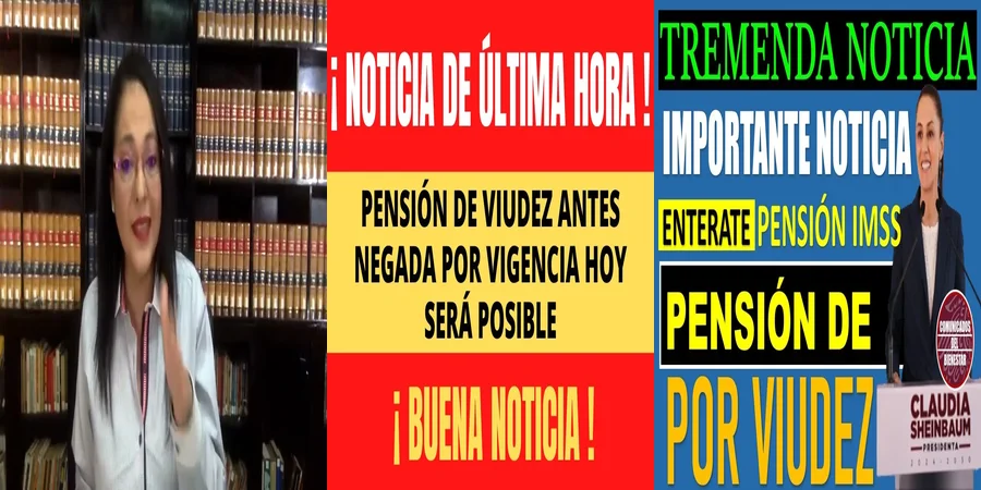 "Requisitos para la pensión por viudez en la ley 73 del IMSS"