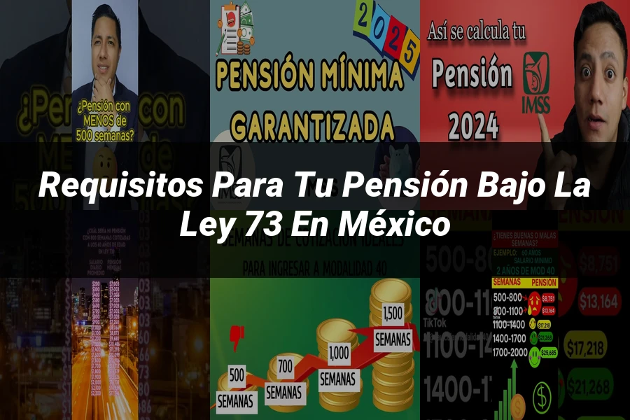 "Requisitos para tu pensión bajo la ley 73 en México"