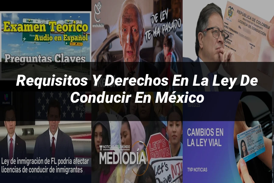 "Requisitos y derechos en la ley de conducir en México"