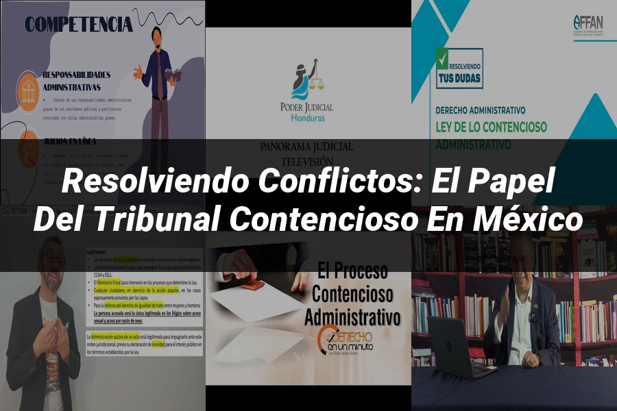"Resolviendo conflictos: el papel del tribunal contencioso en México"