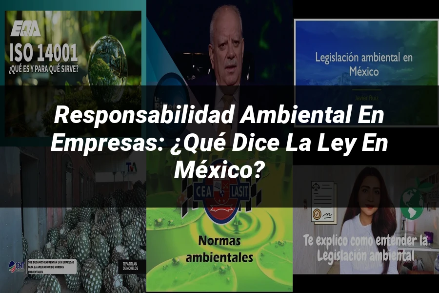 "Responsabilidad Ambiental en Empresas: ¿Qué Dice la Ley en México?"