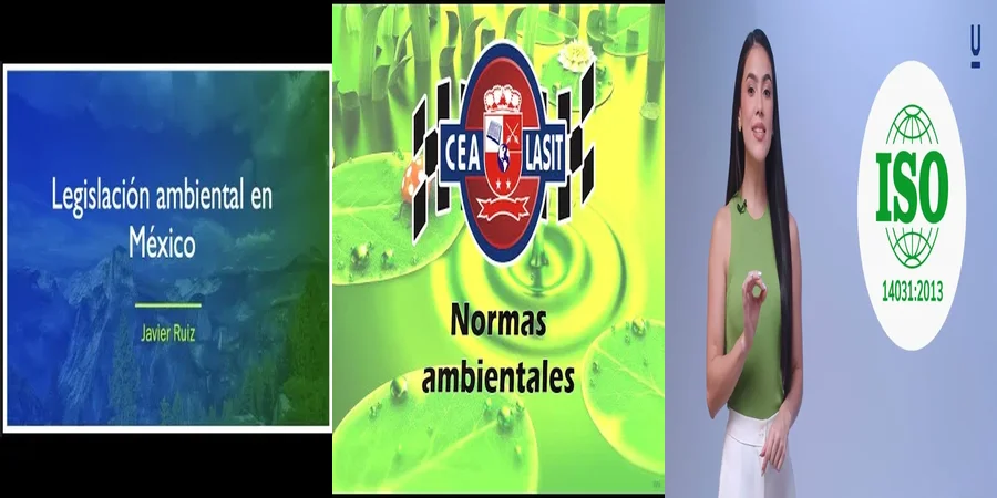 "Responsabilidad Ambiental en Empresas: ¿Qué Dice la Ley en México?"