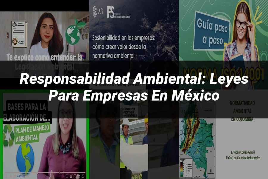 "Responsabilidad Ambiental: Leyes para Empresas en México"