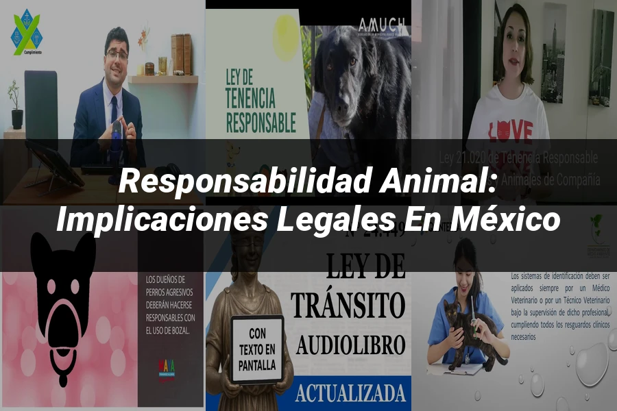 "Responsabilidad Animal: Implicaciones Legales en México"