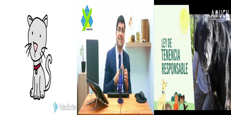 "Responsabilidad Animal: Implicaciones Legales en México"