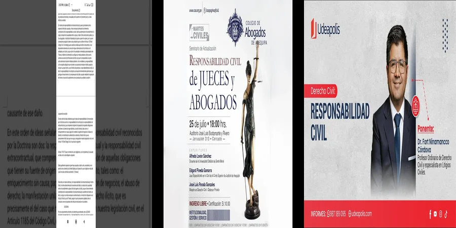 "Responsabilidad Civil en México: ¿Qué Dicen los Jueces?"