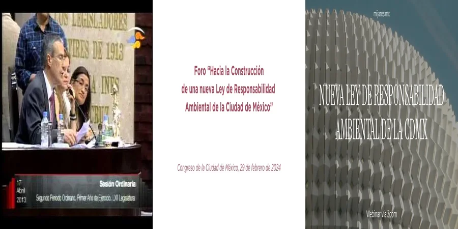 "Responsabilidad ambiental en México: derechos y obligaciones"