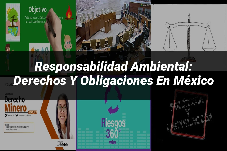 "Responsabilidad ambiental: derechos y obligaciones en México"