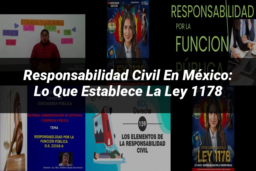 "Responsabilidad civil en México: lo que establece la ley 1178"