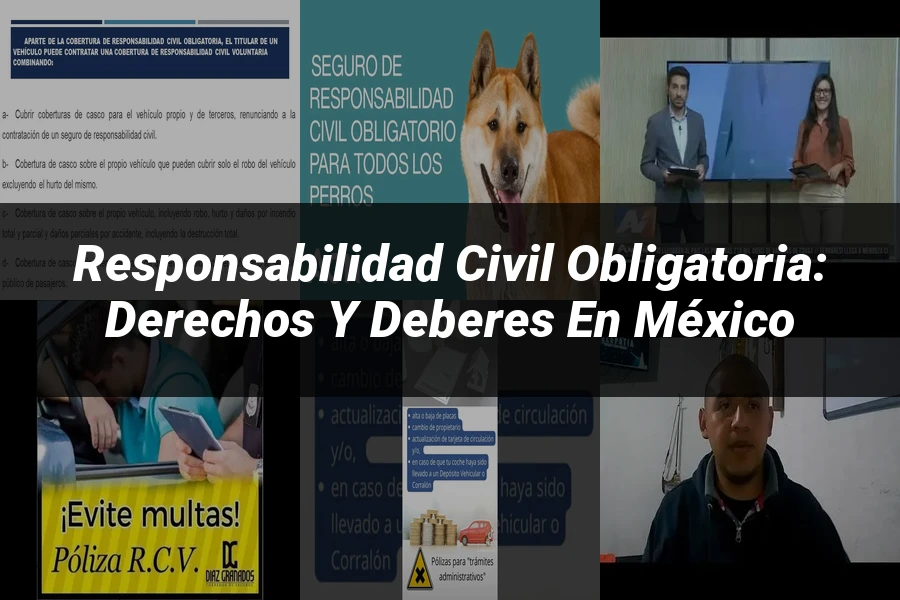 "Responsabilidad civil obligatoria: derechos y deberes en México"