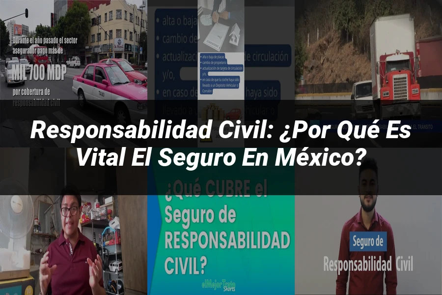 "Responsabilidad civil: ¿Por qué es vital el seguro en México?"