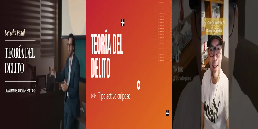"Responsabilidad culposa en el derecho penal mexicano"