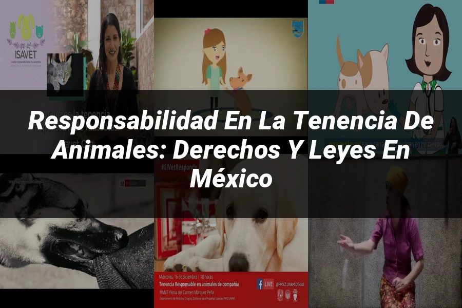 "Responsabilidad en la tenencia de animales: derechos y leyes en México"