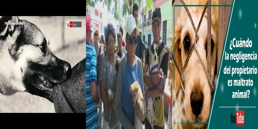 "Responsabilidad en la tenencia de animales: derechos y leyes en México"