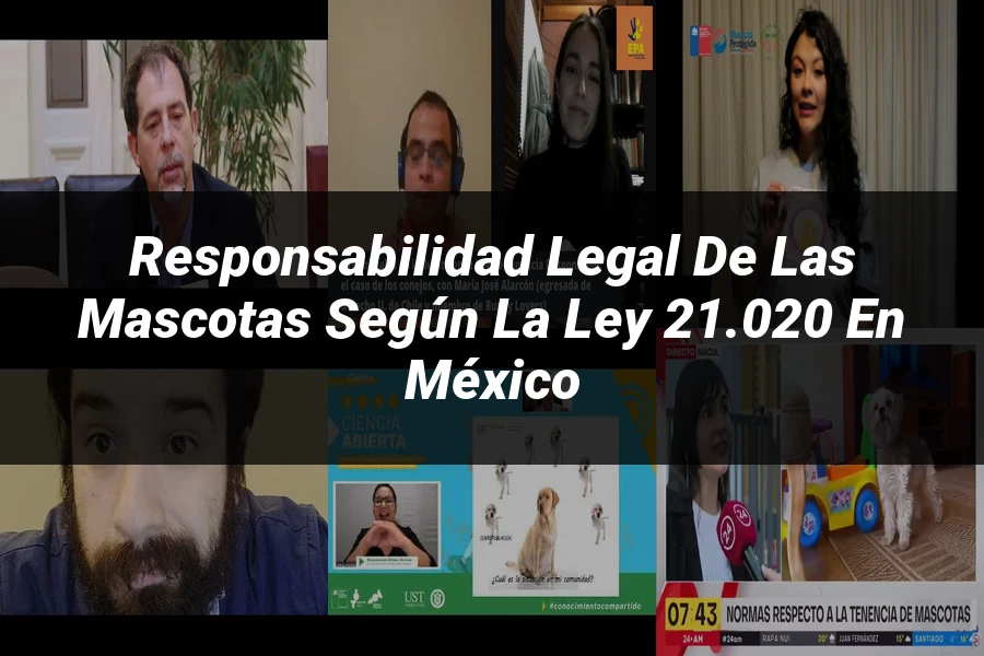 "Responsabilidad legal de las mascotas según la ley 21.020 en México"