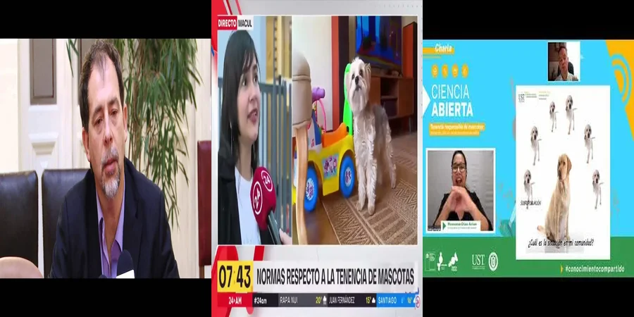 "Responsabilidad legal de las mascotas según la ley 21.020 en México"