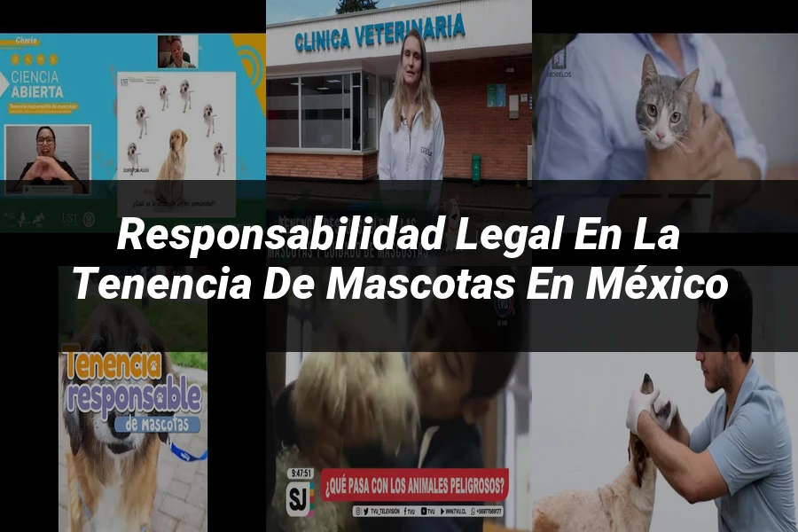 "Responsabilidad legal en la tenencia de mascotas en México"