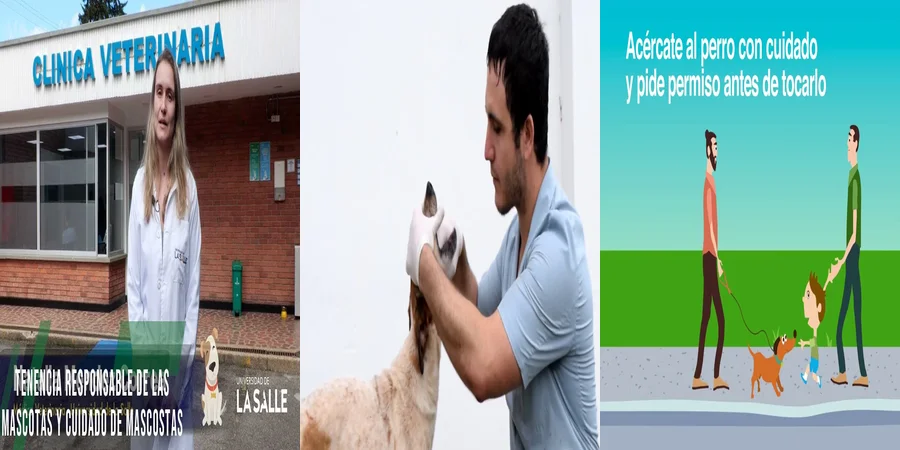 "Responsabilidad legal en la tenencia de mascotas en México"