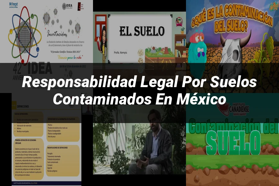 "Responsabilidad legal por suelos contaminados en México"