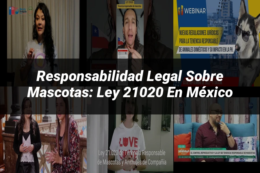 "Responsabilidad legal sobre mascotas: Ley 21020 en México"