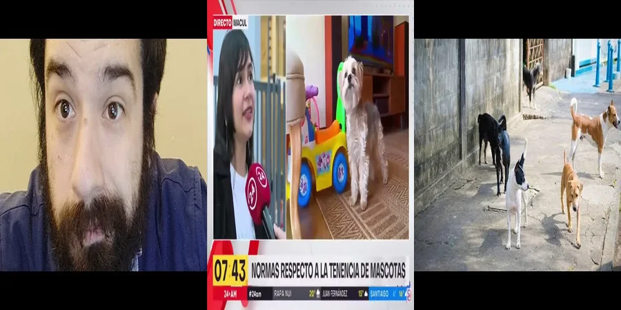 "Responsabilidad legal sobre mascotas: Ley 21020 en México"