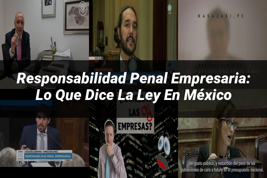 "Responsabilidad penal empresaria: lo que dice la ley en México"
