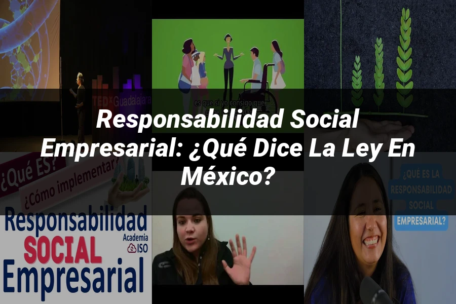 "Responsabilidad social empresarial: ¿Qué dice la ley en México?"