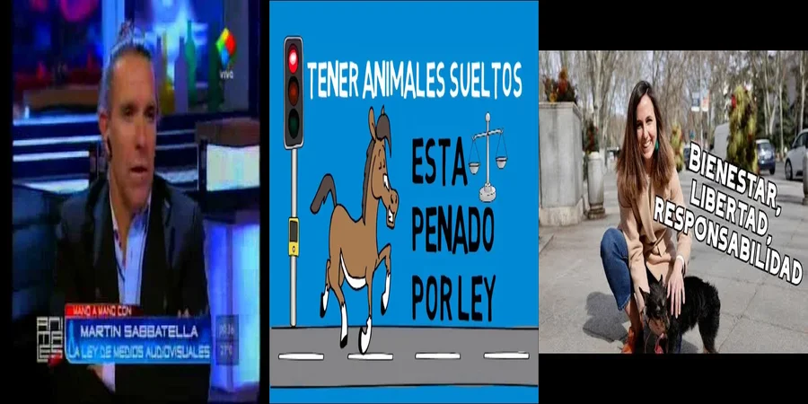 "Responsabilidades Legales por Animales Sueltos en México"