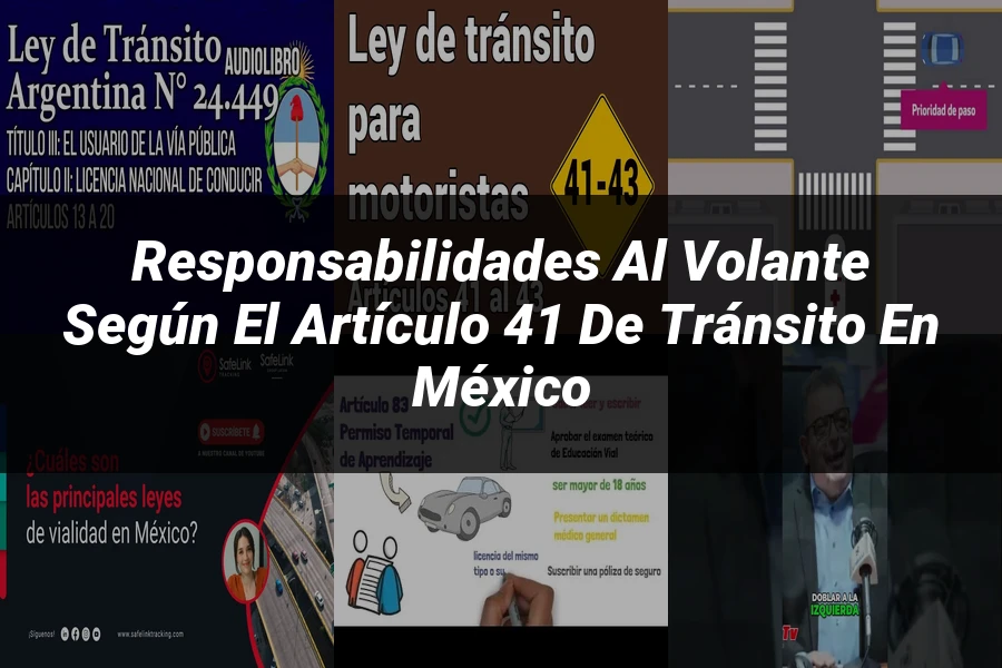 "Responsabilidades al volante según el artículo 41 de tránsito en México"