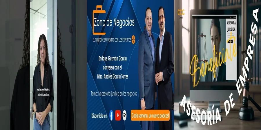 "Responsabilidades del Asesor Legal en Empresas Mexicanas"