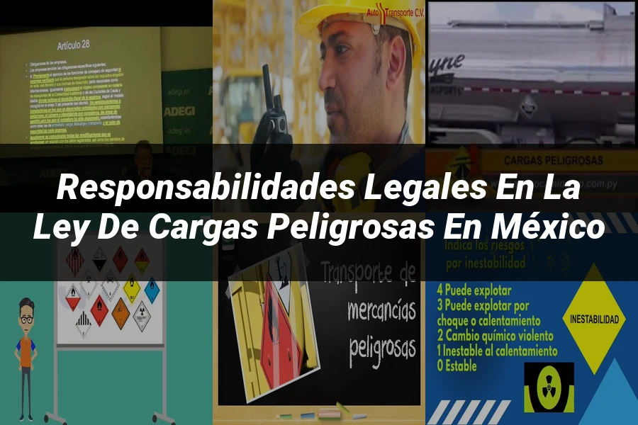 "Responsabilidades legales en la ley de cargas peligrosas en México"