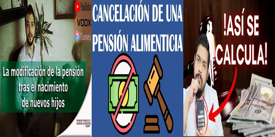 "Revisando la Pensión Alimenticia en México: Cambios y Jurisprudencia"