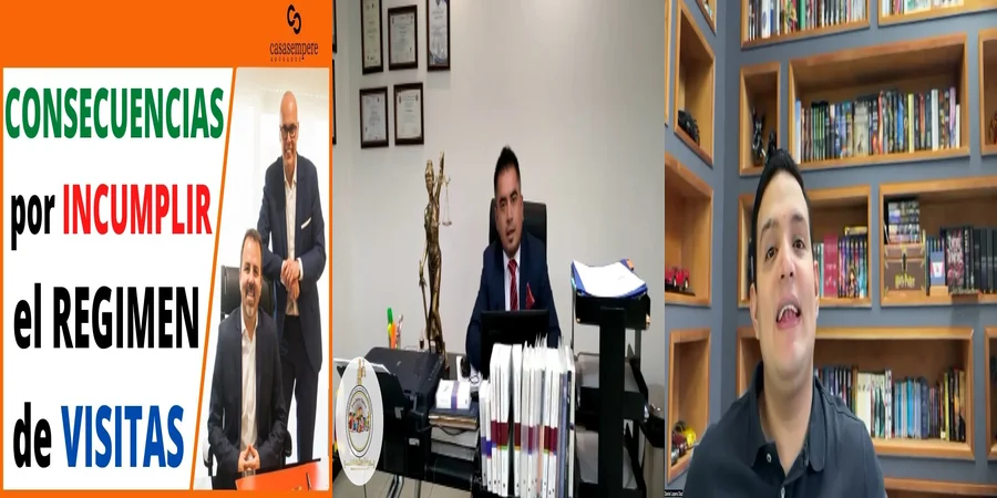 "Régimen de visitas sin sentencia: tus derechos en México explicados"